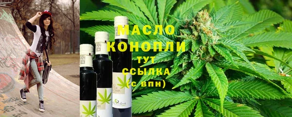 стаф Каменногорск
