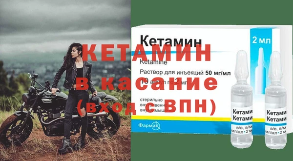 стаф Каменногорск