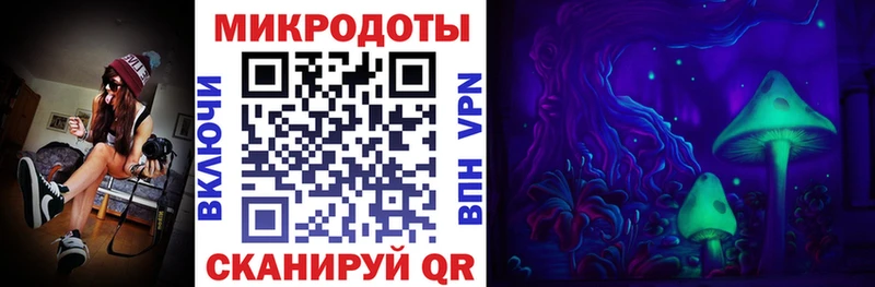 Псилоцибиновые грибы Magic Shrooms  Купить  Болохово 
